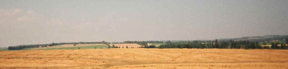 15190002.jpg (121336 bytes)